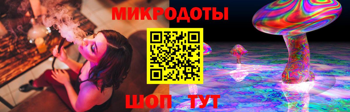 Псилоцибиновые грибы Psilocybe Родники